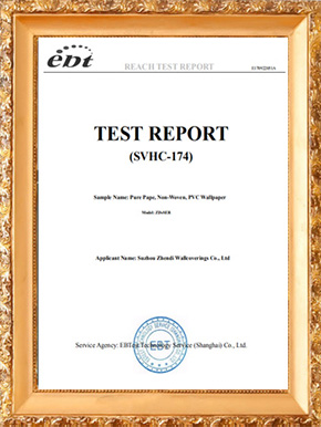 Отчет ETTEST SVHC 174 (E) -E170922051A